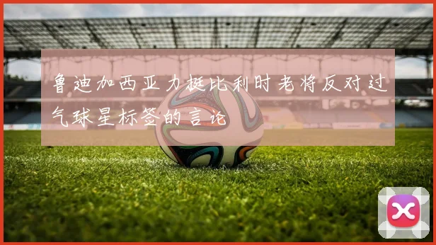 鲁迪加西亚力挺比利时老将反对过气球星标签的言论