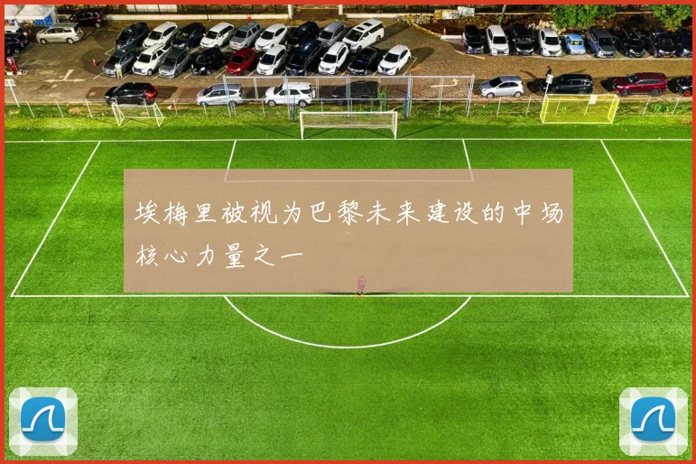 埃梅里被视为巴黎未来建设的中场核心力量之一